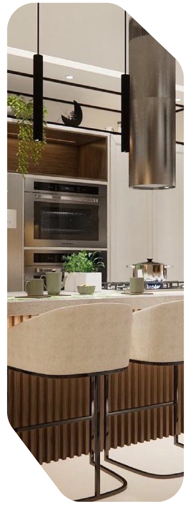 nano pro websitdee copia