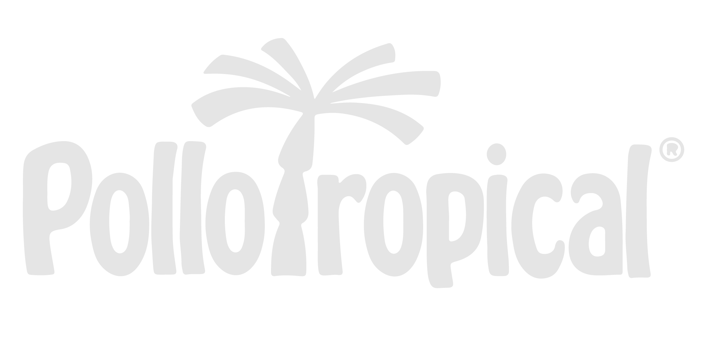 nano pro website copia (1)-02 (1)
